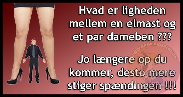 Hvad er ligheden mellem en elmast og et par dameben