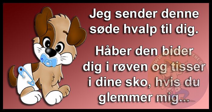 Jeg sender denne søde hvalp til dig