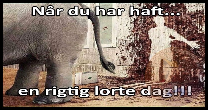 Når du har haft en rigtig lorte dag