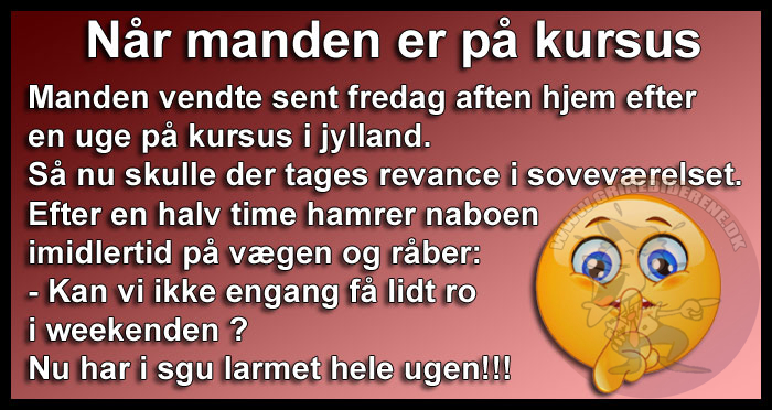 Når manden er på kursus