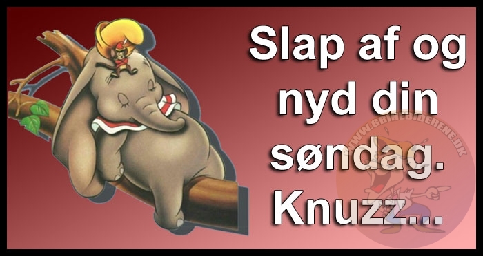 Slap af og nyd din søndag. Knuzz