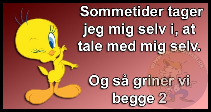 Sommetider tager jeg mig selv i